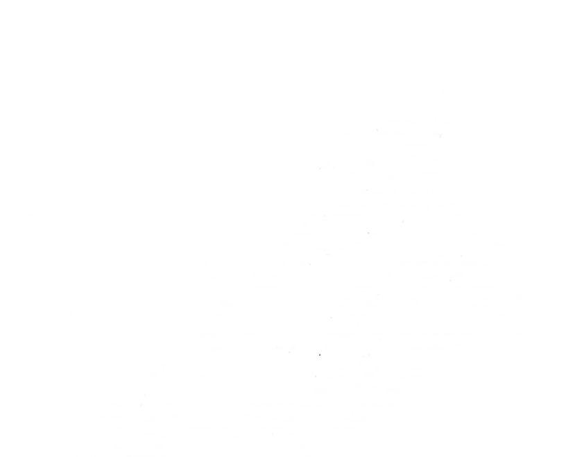 lil motorcycle guy